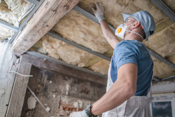 Best DIY Insulation Kits and Guidance in Rocky Mount, VA