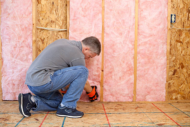Best Insulation Maintenance and Repair in Rocky Mount, VA