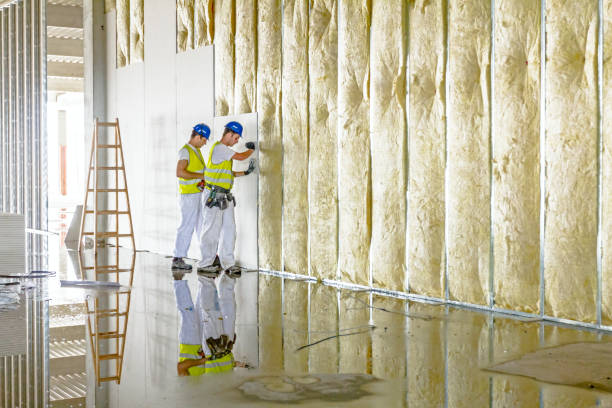 Best Energy Efficiency Insulation in Rocky Mount, VA